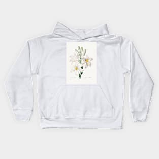 whiteflower painting (1827) by Pierre-Joseph Redouté Kids Hoodie